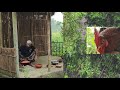 DESHI CHICKEN & BHUNA KHICHURI On A RAINY DAY 🐓 || ঝুম বৃষ্টির দিনে মোরগের 