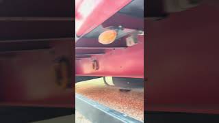 K&ouml;gel S 24 semirremolque con lona corredera | Imagen 5 - Autoline