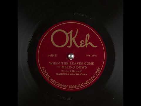 When The Leaves Come Tumbling Down - Markels Orchestra