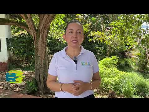 DETIENEN EXPLOTACIÓN ilegal de materiales en zona rural de Silvania, Cundinamarca