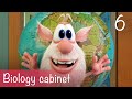 Booba Biology Cabinet Episode 6 Cartoon For Kids