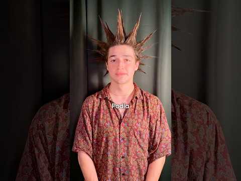 Mi nuevo corte de pelo