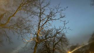 I'll sit alone and think a lot about you - Jandek cover