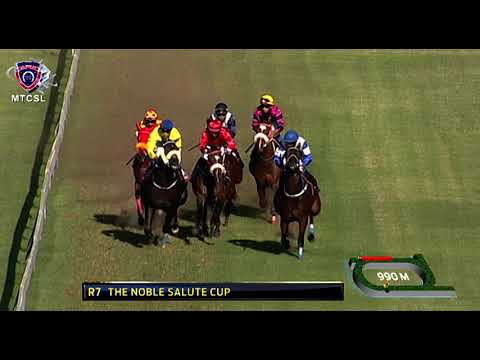 Hippisme - 1re journée (7e course): The Noble Salute Cup