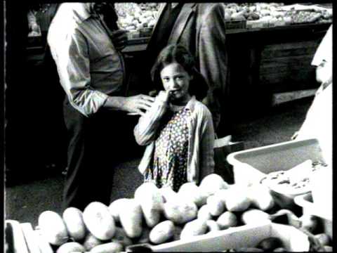 download lagu mp3 mp4 Rosita De Amaral, download lagu Rosita De Amaral gratis, unduh video klip Rosita De Amaral