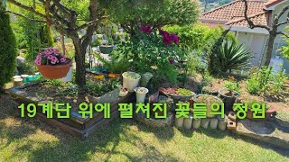 19계단 위에 주부가 손수 꾸미는 꽃의 정원이 아름다워요
