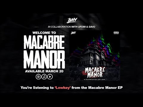 BNY - LOWKEY (Official Audio)