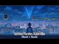 Sohna Ty Metho Door Gya Ay Lofi Remix Slowed And Reverb