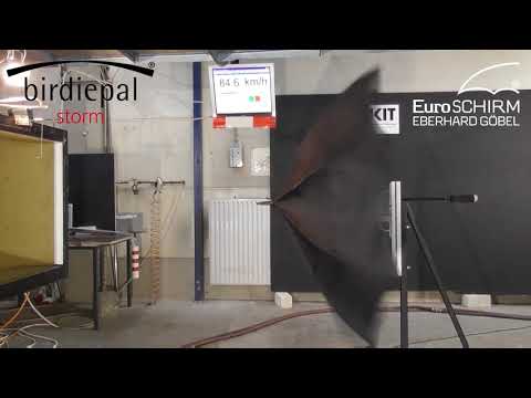 birdiepal® storm Wind tunnel test