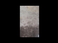 Whiskerando God S Desire Of Lust And Greed Official Video