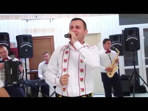 Formatia Dani Pomian si Iuliana Demian - inceput de nunta !