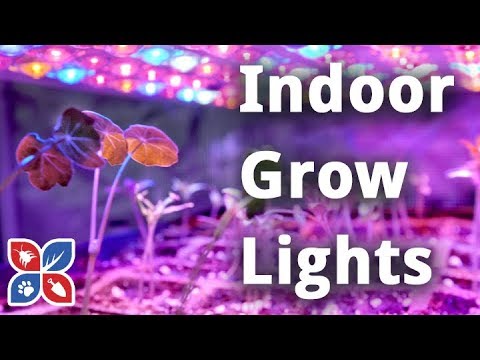  Do My Own Gardening - Indoor Grow Lights Video 