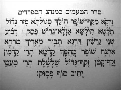 Episode 1: Torah Chanting Intro... names and melodies