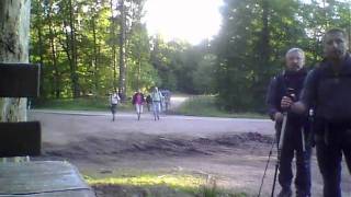 Der Pfälzische Königsweg III (Teil 5)