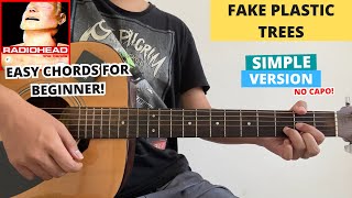Fake Plastic Trees - Radiohead (Guitar Tutorial) Easy Chords For Beginner! No Capo!