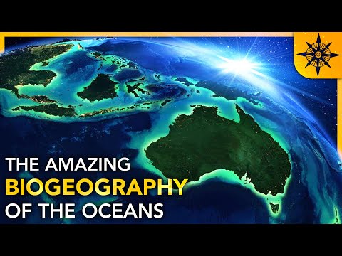 The Fascinating World of Marine Biogeography
