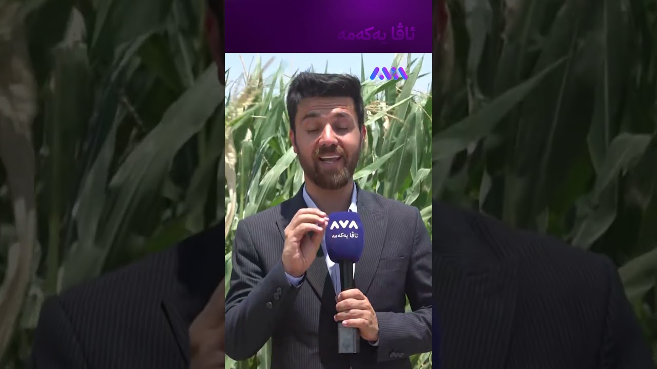 ڤیدیۆ | چەکدارەکەی داعش چۆن بە قەناس کوژرا