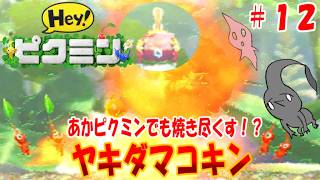 【Hey！ピクミン】ピクミンとゆっくり惑星探索Hey！１２日目脅威！赤ピクミンだろうと他の原生生物だろうと焼き尽くすヤキダマコキン！溶岩弾幕をかいくぐれ！【ゆっくり手描き実況】＃ピクミン＃ゆっくり実況