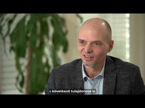 Board vízió/Clarity Consulting Kft.