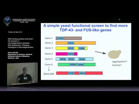 A. Gitler - RNA-binding proteins with prion-like domains in neurodegenerative diseases