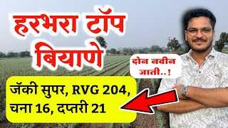 Harbhara Top Biyane 2025 🔥चना / हरभरा टॉप बियाणे