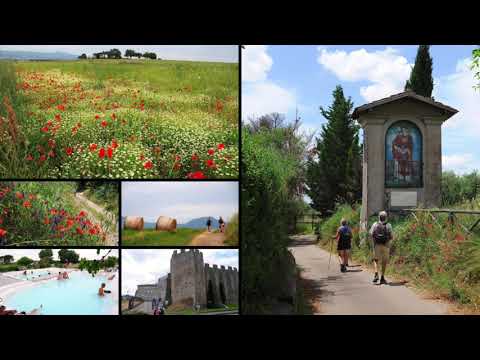 Vandretur med Tiramisu