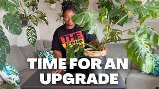 Repotting my Monstera Thai Constellation | Plant ASMR
