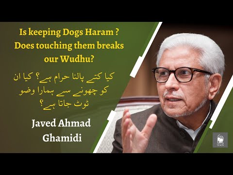 Is Keeping Dogs Haram  By Javed Ghamidi by Javed Ghamidi