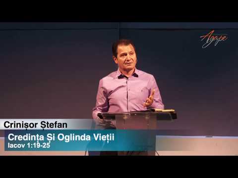 Crinisor Stefan - Credinta si oglinda vietii