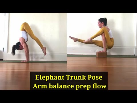 Elephant Trunk Pose - Arm balance prep flow - yoga tips -