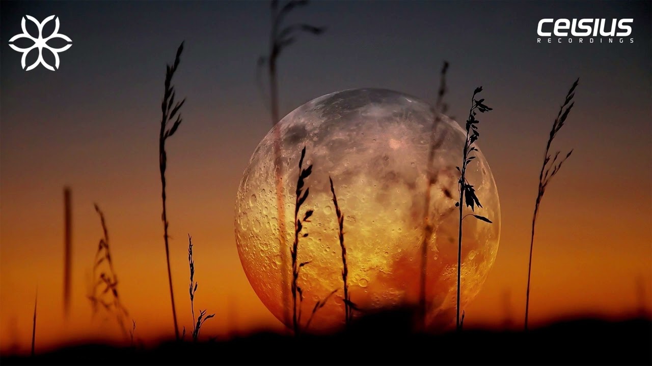 Rezilient - Under My Skin