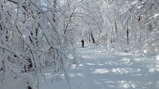preview picture of video 'Skiing in a Winter Wonderland on the Fen Lake Ski Trail - Algonquin Provincial Park'