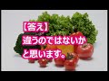 【新商品】プレミアムな麦チョコ「プレミアムムーギチョコ」6 ...