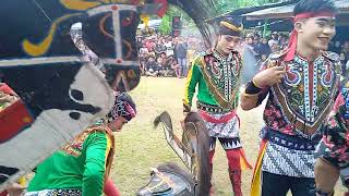 Download lagu Tari Janturan,,Ebeg Banyumasan Pandawa Laras,,KarangGedang Desa Gentawangi Jatilawang BMS... mp3 Download lagu Tari Janturan,,Ebeg Banyumasan Pandawa Laras,,KarangGedang Desa Gentawangi Jatilawang BMS... mp3