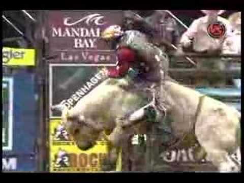 Sean Willingham Vs. El Gato