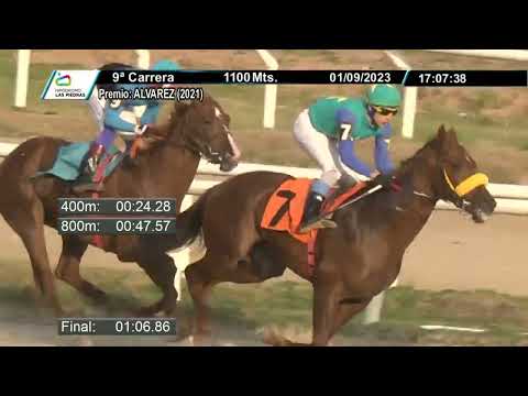 230901 c09 - TODINHO WELL - HIPODROMO LAS PIEDRAS