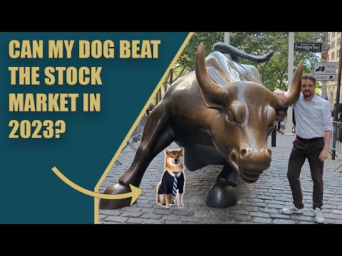 I gave my dog €10.000 to invest in the stock market!