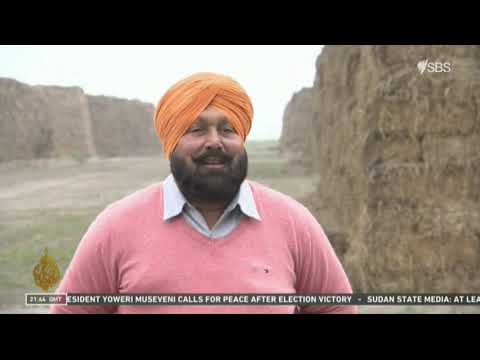 Power From Rice Straw Punjab India 18 January 2021