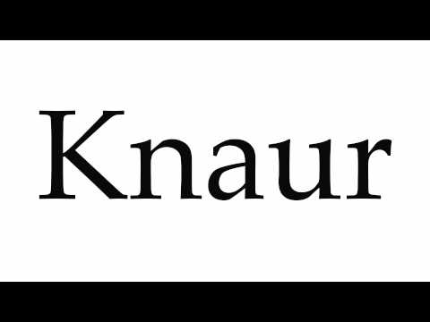How to Pronounce Knaur