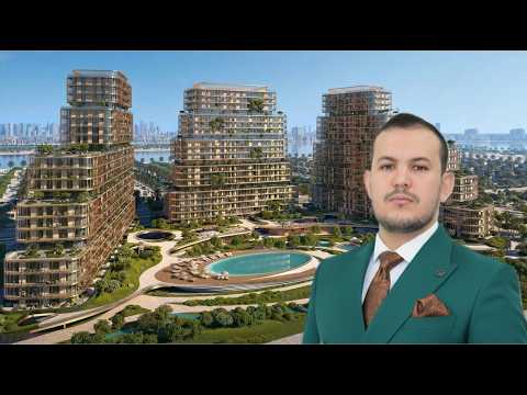 Hado by Beyond at Dubai Islands - SIORA First Look