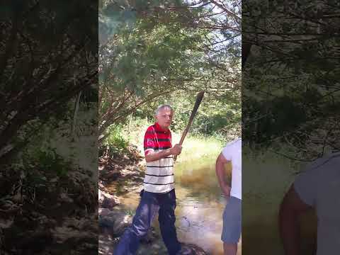 Muito bacana esse encontro, sítio Severino Vieira São José de Caiana PB.