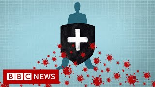 Coronavirus: Immunity explained - BBC News
