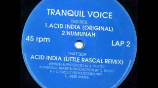 Tranquil Voice - Acid India [Little Rascal Remix] 1993