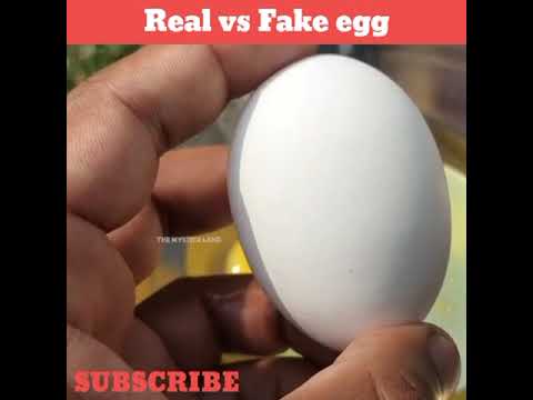 असली और नकली अंडे की पहचान😄#shorts / intresting facts #egg #fakevsreal | GKT