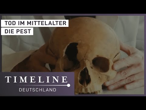 Doku: Die Pest im Mittelalter