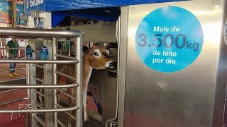 Miniatura do vídeo
