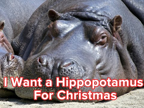 Makaton - I WANT A HIPPOPOTAMUS FOR XMAS (CarPark Karaoke Style) - Singing Hands