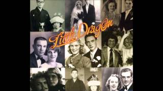 Little Dragon - Shuffle A Dream