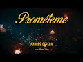 Andrés Cepeda - Prométeme (Video Oficial)