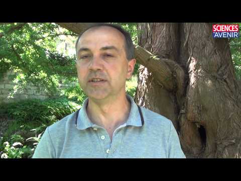 La salamandre tachetée